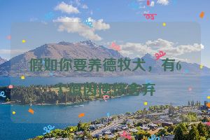 假如你要养德牧犬，有6个原因使你舍弃