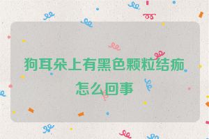 狗耳朵上有黑色颗粒结痂怎么回事