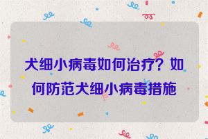 犬细小病毒如何治疗？如何防范犬细小病毒措施