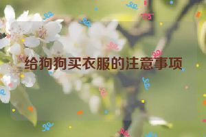 给狗狗买衣服的注意事项