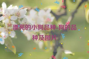 漂亮的小狗品种-狗的品种及图片