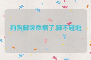 狗狗脚突然瘸了,脚不碰地