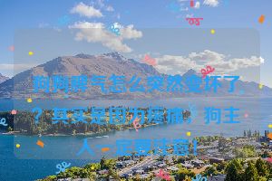 狗狗脾气怎么突然变坏了？其实是因为疼痛，狗主人一定要注意！