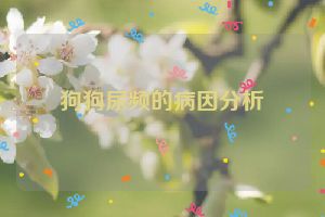 狗狗尿频的病因分析