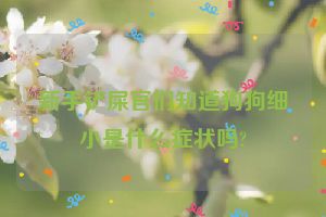 新手铲屎官们知道狗狗细小是什么症状吗?