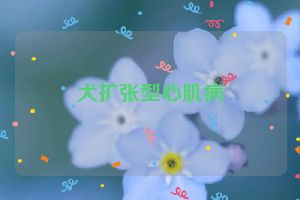 犬扩张型心肌病