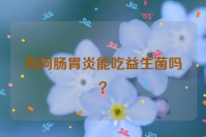 狗狗肠胃炎能吃益生菌吗？