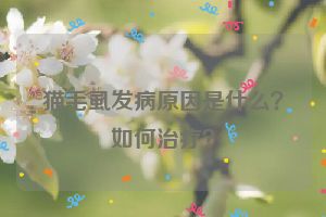 猫毛虱发病原因是什么？如何治疗？