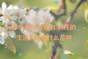 李永健同款狗狗-向往的生活狗狗是什么品种