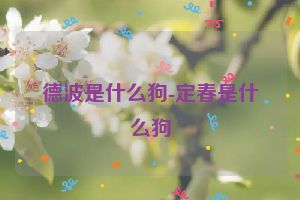 德波是什么狗-定春是什么狗