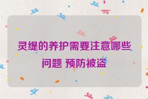 灵缇的养护需要注意哪些问题 预防被盗