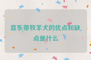 喜乐蒂牧羊犬的优点和缺点是什么