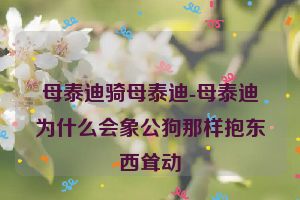 母泰迪骑母泰迪-母泰迪为什么会象公狗那样抱东西耸动