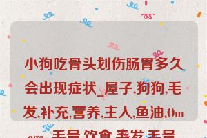 小狗吃骨头划伤肠胃多久会出现症状_屋子,狗狗,毛发,补充,营养,主人,鱼油,Omega-,毛量,饮食,毛发,毛量,主人,海带粉,狗毛