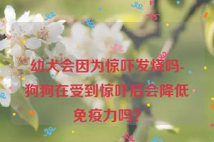 幼犬会因为惊吓发烧吗-狗狗在受到惊吓后会降低免疫力吗？