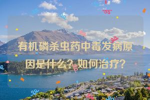 有机磷杀虫药中毒发病原因是什么?如何治疗?