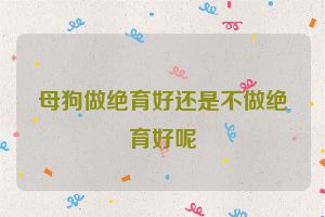 母狗做绝育好还是不做绝育好呢