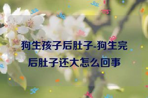 狗生孩子后肚子-狗生完后肚子还大怎么回事