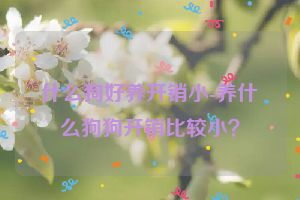 什么狗好养开销小-养什么狗狗开销比较小？