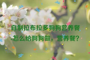 自制拉布拉多狗狗营养餐-怎么给狗狗做，营养餐？