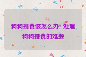狗狗挑食该怎么办? 处理狗狗挑食的难题