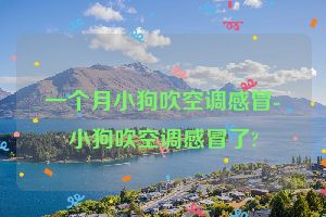 一个月小狗吹空调感冒-小狗吹空调感冒了?