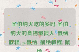 圣伯纳犬吃的多吗 圣伯纳犬的食物量很大_鼠绘教程, ps鼠绘, 鼠绘教程, 鼠绘