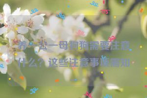 养一公一母狗狗需要注意什么？这些注意事项需知~