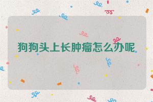 狗狗头上长肿瘤怎么办呢