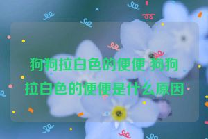 狗狗拉白色的便便 狗狗拉白色的便便是什么原因