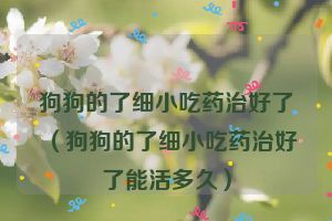 狗狗的了细小吃药治好了（狗狗的了细小吃药治好了能活多久）