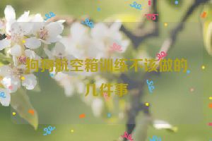 狗狗航空箱训练不该做的几件事