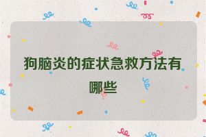 狗脑炎的症状急救方法有哪些