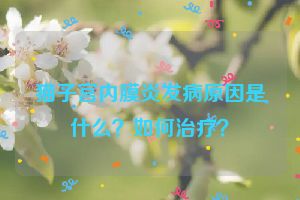 猫子宫内膜炎发病原因是什么？如何治疗？