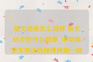 柴犬幼崽怎么饲养 柴犬幼犬吃什么健康_中学用学生书法当校牌两周一换