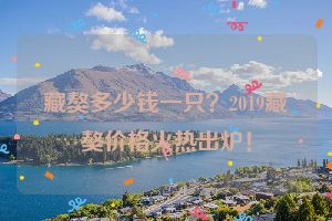 藏獒多少钱一只？2019藏獒价格火热出炉！