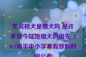 史宾格犬是猎犬吗 是许多现今陆地猎犬的祖先_2021南平中小学寒假放假时间公布