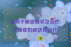 狗狗干眼症症状及治疗(干眼症的症状和治疗)