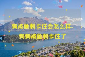 狗被鱼刺卡住会怎么样-狗狗被鱼刺卡住了