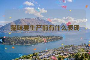 猫咪要生产前有什么表现