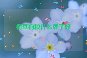 柯基狗粮什么牌子好