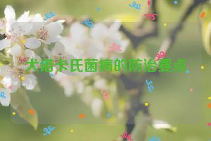 犬诺卡氏菌病的防治要点