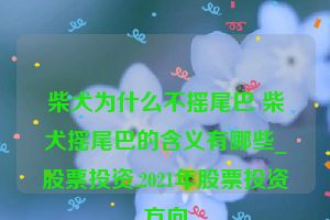 柴犬为什么不摇尾巴 柴犬摇尾巴的含义有哪些_股票投资,2021年股票投资方向