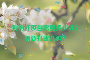 狗狗打疫苗需要多少钱？需要打哪几种？