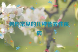 狗狗常见的几种营养性疾病