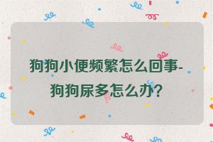 狗狗小便频繁怎么回事-狗狗尿多怎么办？