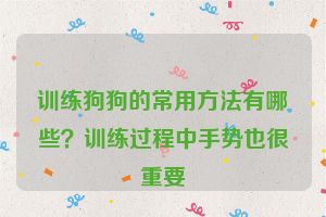 训练狗狗的常用方法有哪些？训练过程中手势也很重要