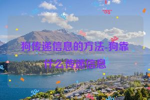 狗传递信息的方法-狗靠什么传递信息