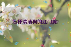 怎样清洁狗的肛门腺?