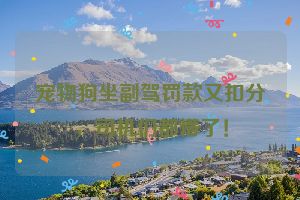 宠物狗坐副驾罚款又扣分，司机们都懵了！